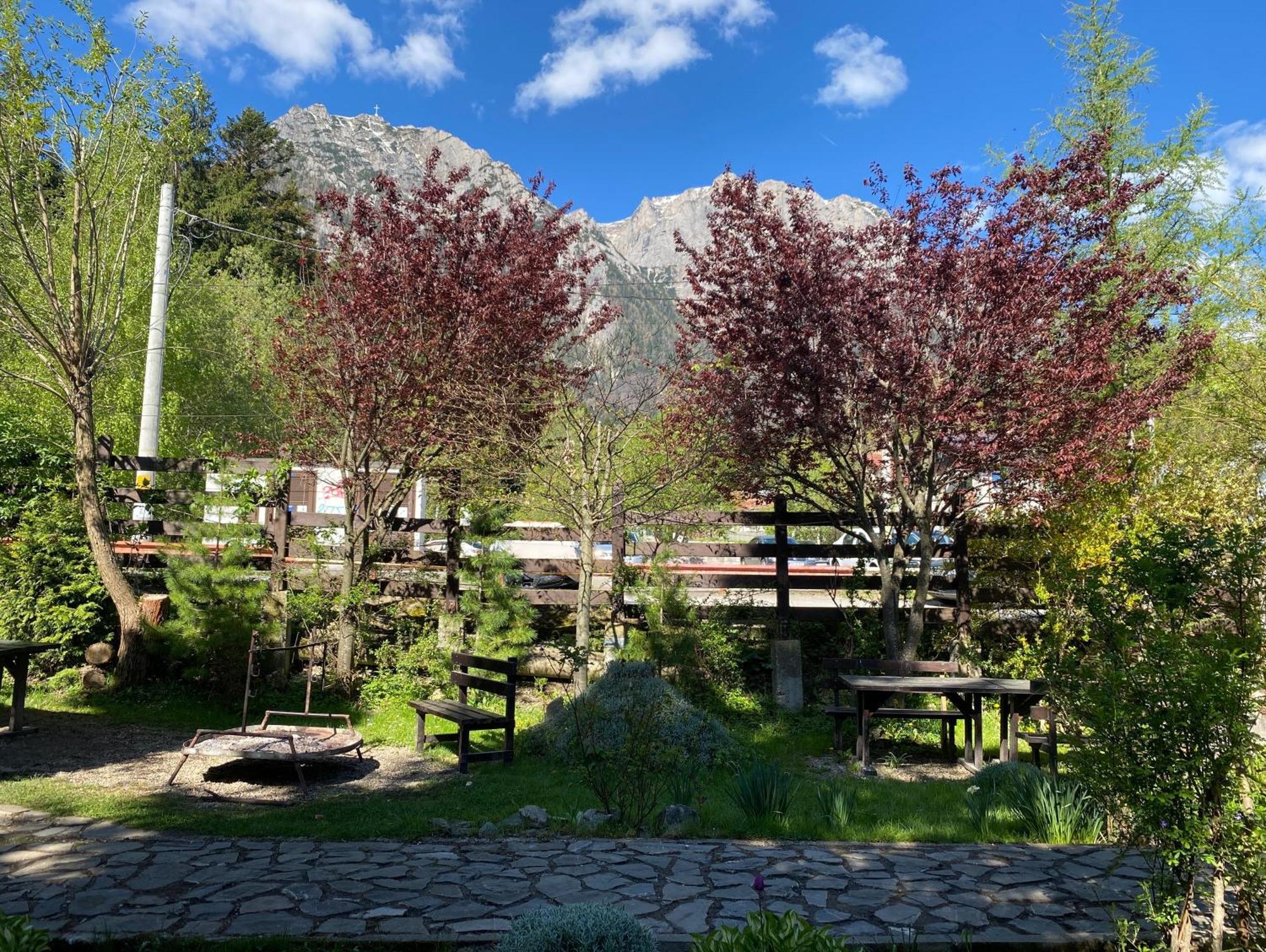 Apartament Pensiunea Liziera Buşteni Exterior foto